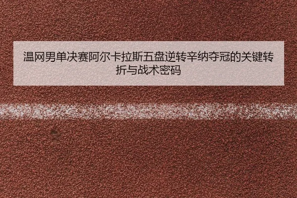 wen-wang-nan-dan-jue-sai-a-er-ka-la-si-wu-pan-ni-zhuan-xin-na-duo-guan-de-guan-jian-zhuan-zhe-yu-zhan-shu-mi-ma-2-679.jpg